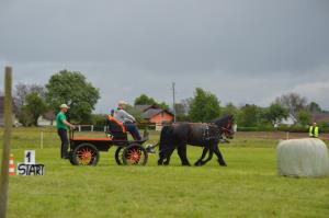 3. Srečanje kočij in konjenikov na Grabah 2
